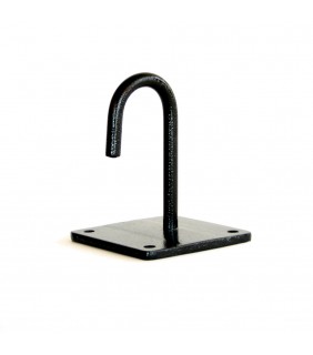 Iron Hook with Plate